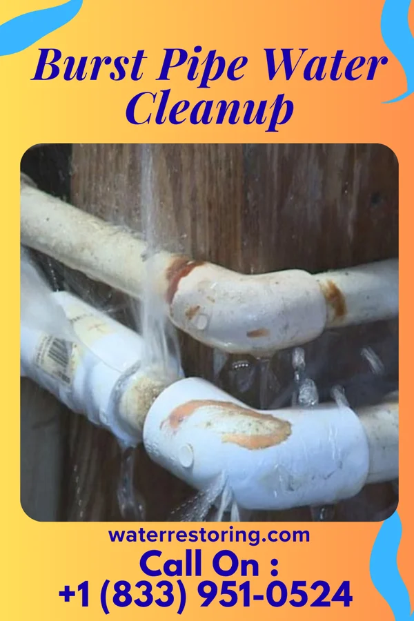 Burst Pipe Water Cleanup in Rices Landing, PA