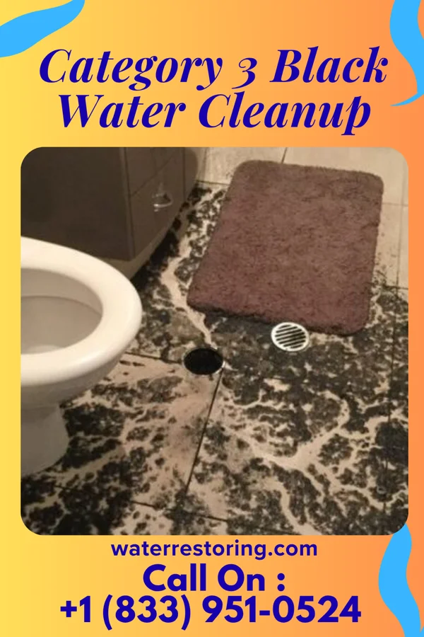 Category 3 Black Water Cleanup in Rices Landing, PA