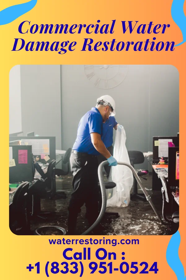 Commercial Water Damage Restoration in Rices Landing, PA