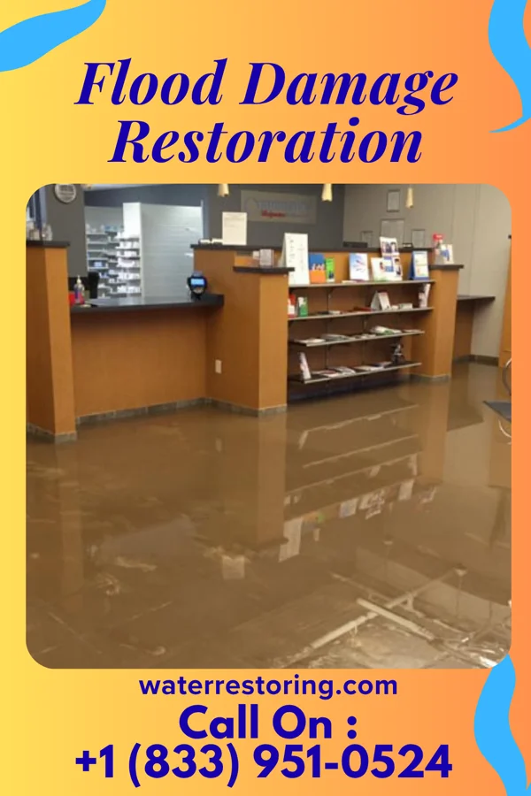 Flood Damage Restoration in Rices Landing, PA