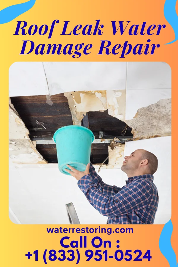 Roof Leak Water Damage Repair in Rices Landing, PA