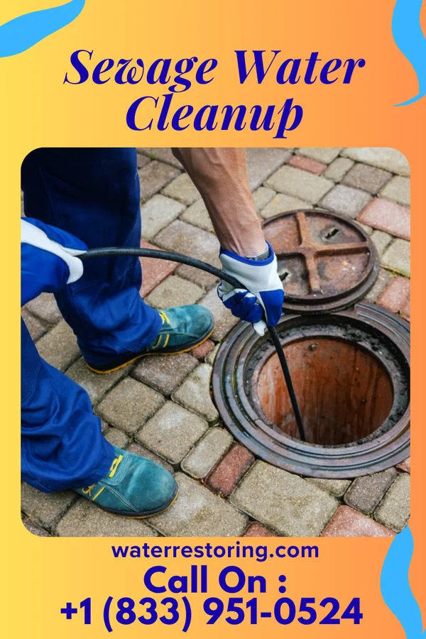 Sewage Water Cleanup in Rices Landing, PA