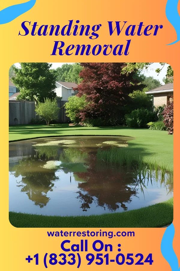Standing Water Removal in Rices Landing, PA